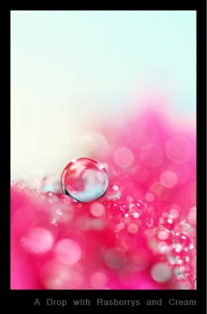c5-A Drop with Rasberrys and Cream.jpg